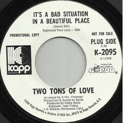 Two Tons Of Love It's A Bad Situation In A Beautiful Place USED VINYL 7INCH 45 RPM PROMO