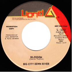 Big City Down River Blossom / Lynsong USED VINYL 7INCH 45 RPM SINGLE PROMO