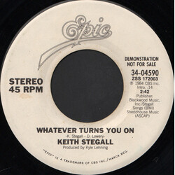 Keith Stegall Whatever Turns You On USED VINYL 7INCH 45 RPM PROMO