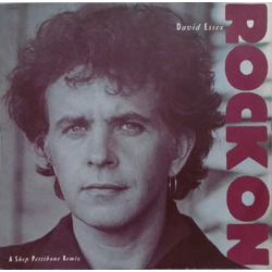 David Essex Rock On Vinyl 12" USED