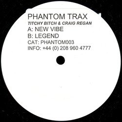 Titchy Bitch / Craig Regan / Fallen Angel New Vibe / Legend Vinyl 12" USED