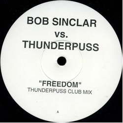 Bob Sinclar / Thunderpuss Freedom Vinyl 12" USED