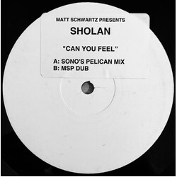 Matt Schwartz / Sholan Can You Feel (What I'm Going Thru) Vinyl 12" USED