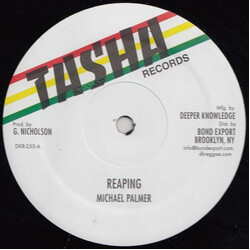 Michael Palmer / Frankie Jones (2) Reaping / Acting So Strange USED VINYL 12INCH 45 RPM