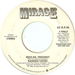 Random Voices Dear Mr. President USED VINYL 7INCH 45 RPM PROMO STEREO
