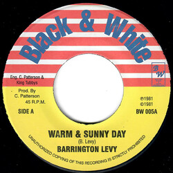 Barrington Levy Warm & Sunny Day USED VINYL 7INCH 45 RPM REISSUE