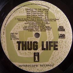 Thug Life Cradle To The Grave Vinyl 12" USED