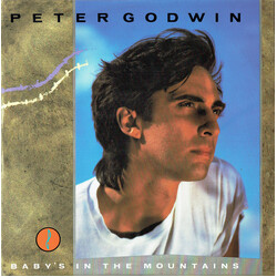 Peter Godwin Baby's In The Mountains Vinyl 12" USED