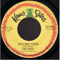 The Road She's Not There / A Bummer VINYL 7" USED