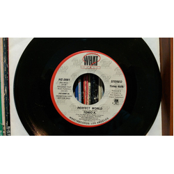 Tonio K. Perfect World Vinyl 7" USED