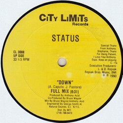 Status (4) Down USED VINYL 12INCH 33 S RPM