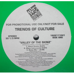 Trends Of Culture Valley Of The Skinz Vinyl 12" USED