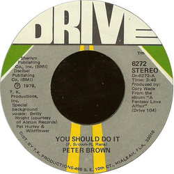 Peter Brown (2) You Should Do It USED VINYL 7INCH SINGLE 45 RPM