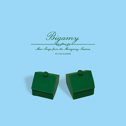 Tim Kasher Bigamy: More Songs From The Monogamy Sessions Vinyl 12" USED