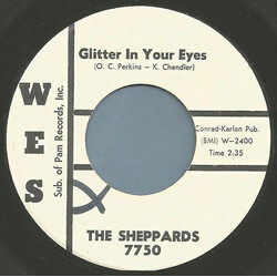 The Sheppards Glitter In Your Eyes USED VINYL 7INCH 45 RPM