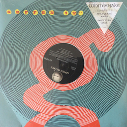 Whitesnake Still Of The Night / Don't Turn Away Vinyl 12" USED