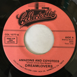 The Dreamlovers Amazons And Coyotees / Together Vinyl 7" USED