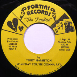 Terry Hamilton (8) Someday You're Gonna Pay USED VINYL 7INCH 45 RPM