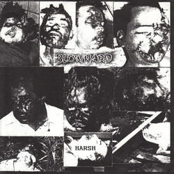 Blowhard (2) Harsh USED VINYL 7INCH 33 S RPM