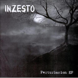 Inzesto / Jodida Actitud Normal Perturbazion EP / Split EP USED VINYL 7INCH EP