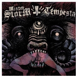 Winterstorm / Tempesta (3) Winterstorm / Tempesta USED VINYL 7INCH