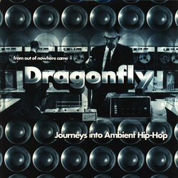 Dragonfly Journeys Into Ambient Hip-Hop Vinyl 12" USED
