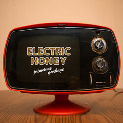 Electric Honey Primetime Garbage Vinyl LP USED