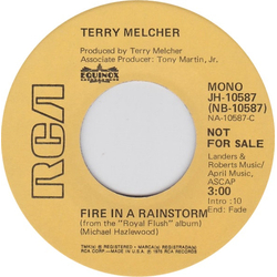Terry Melcher Fire In A Rainstorm Vinyl 7" USED