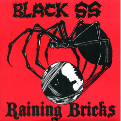 Black Sheep Squadron / Raining Bricks Black SS / Raining Bricks USED VINYL 7INCH