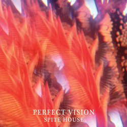 Spite House Perfect Vision Vinyl 7" USED