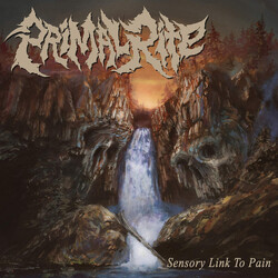 Primal Rite Sensory Link To Pain USED VINYL 7INCH 33 S RPM EP
