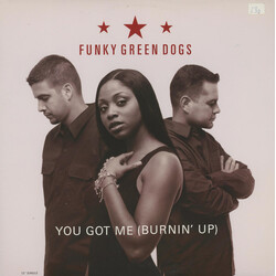 Funky Green Dogs You Got Me (Burnin' Up) VINYL 12" USED