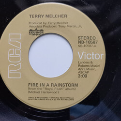 Terry Melcher Fire In A Rainstorm Vinyl 7" USED