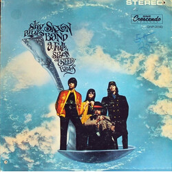 Sky Saxon Blues Band A Full Spoon Of Seedy Blues Vinyl LP USED