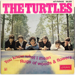 The Turtles You Know What I Mean / Rugs Of Woods & Flowers USED VINYL 7INCH 45 RPM SINGLE