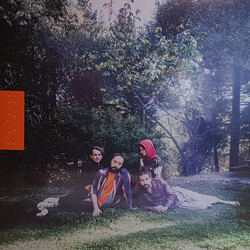 Big Thief U.F.O.F. Vinyl LP USED