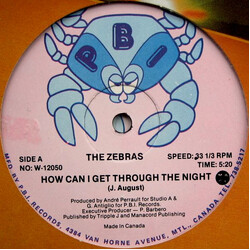 The Zebras How Can I Get Through The Night USED VINYL 12INCH 33 S RPM