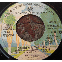 Dan Hicks Garden In The Rain Vinyl 7" USED