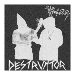 Manateees Destruktor USED VINYL 7INCH 33 S RPM