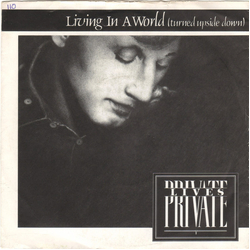 Private Lives Living In A World (Turned Upside Down) Vinyl 7" USED
