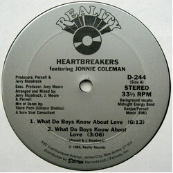 Heartbreakers What Do Boys Know About Love USED VINYL 12INCH 33 S RPM STEREO