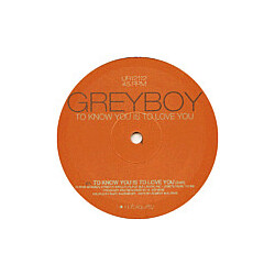 Greyboy To Know You Is To Love You USED VINYL 12INCH