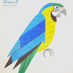 Sirius B (3) Samba Selvagem USED VINYL 12INCH