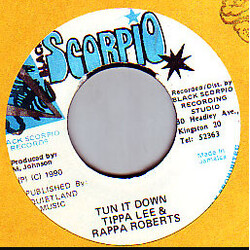 Tippa Lee / Rappa Robert Tun It Down USED VINYL 7INCH 45 RPM