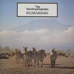 The Teardrop Explodes Kilimanjaro Vinyl LP USED