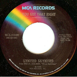 Lynyrd Skynyrd You Got That Right USED VINYL 7INCH 45 RPM