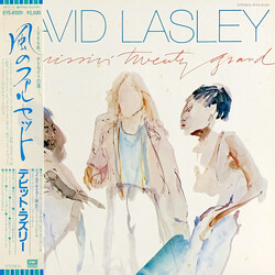David Lasley Missin' Twenty Grand Vinyl LP USED