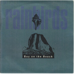 Rainbirds Boy On The Beach USED VINYL 7INCH 45 RPM STEREO