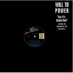 Will To Power Say It's Gonna Rain VINYL 12" USED