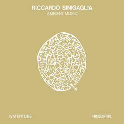 Riccardo Sinigaglia Ambient Music Vinyl LP USED